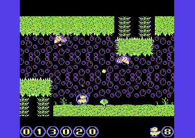 Cover image for Bubble Duck