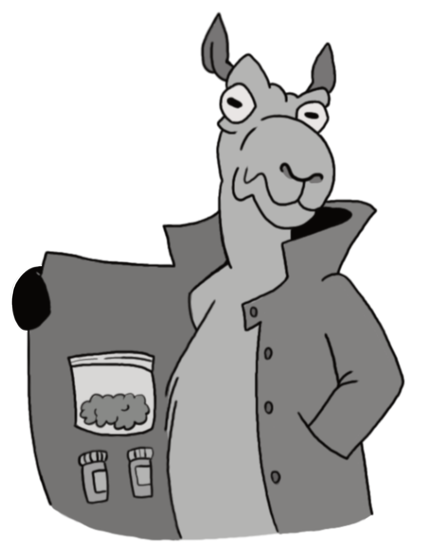 Cover image for Camellos Camellos