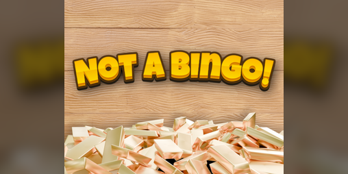 Cover image for Not a Bingo!