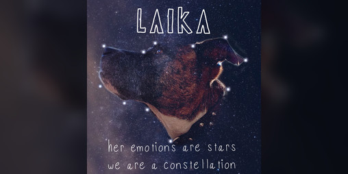 Cover image for Laika