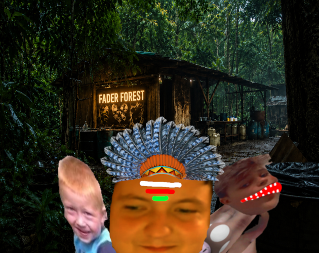 Fader Forest cover