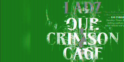 Cover image for Our Crimson Cage