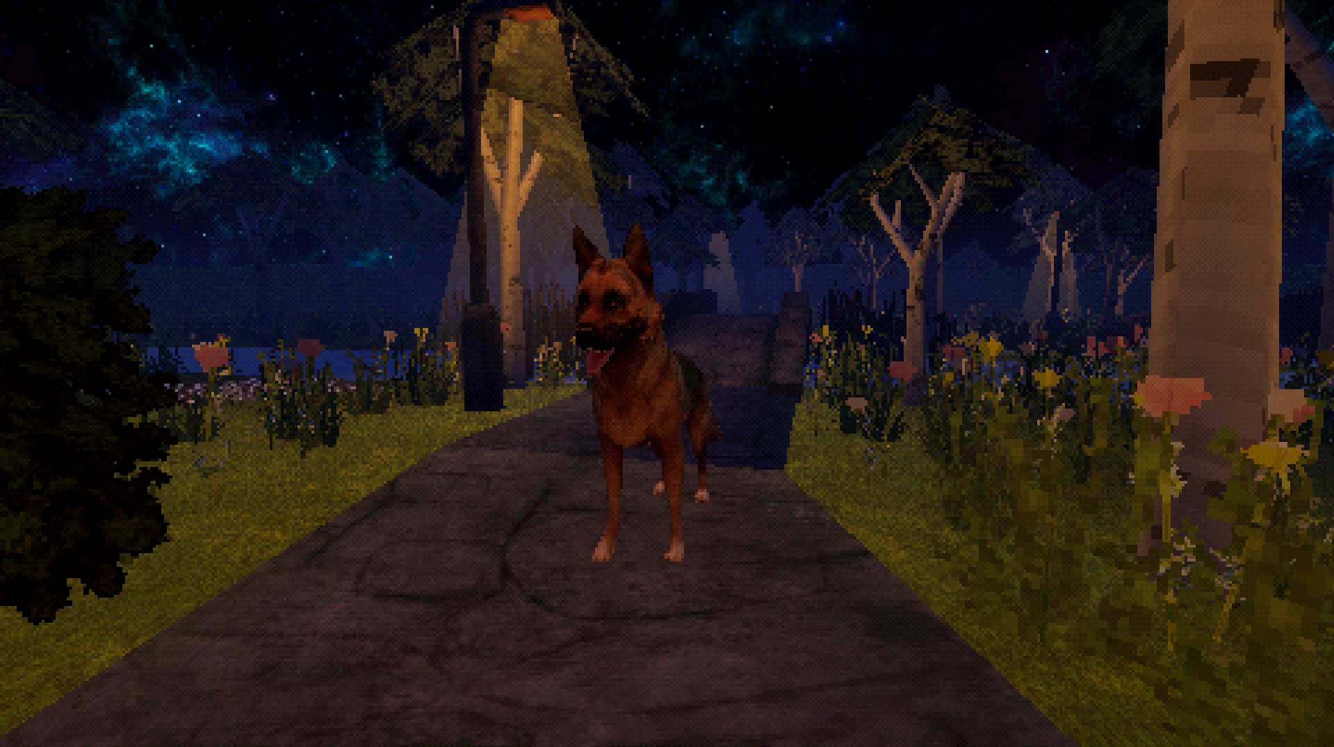 Fetch Forever