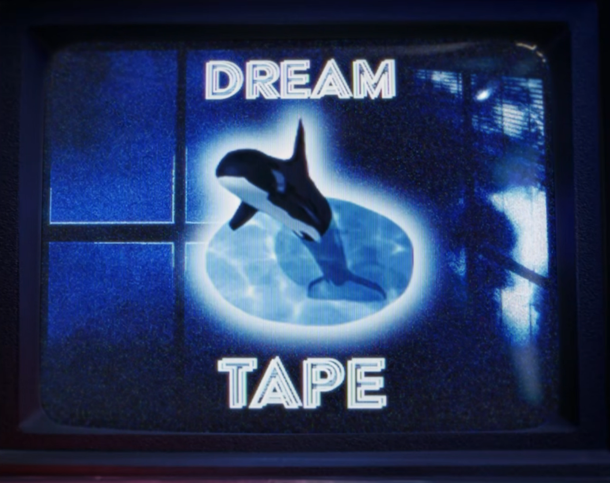 Cover image for DREAM TAPE LLC