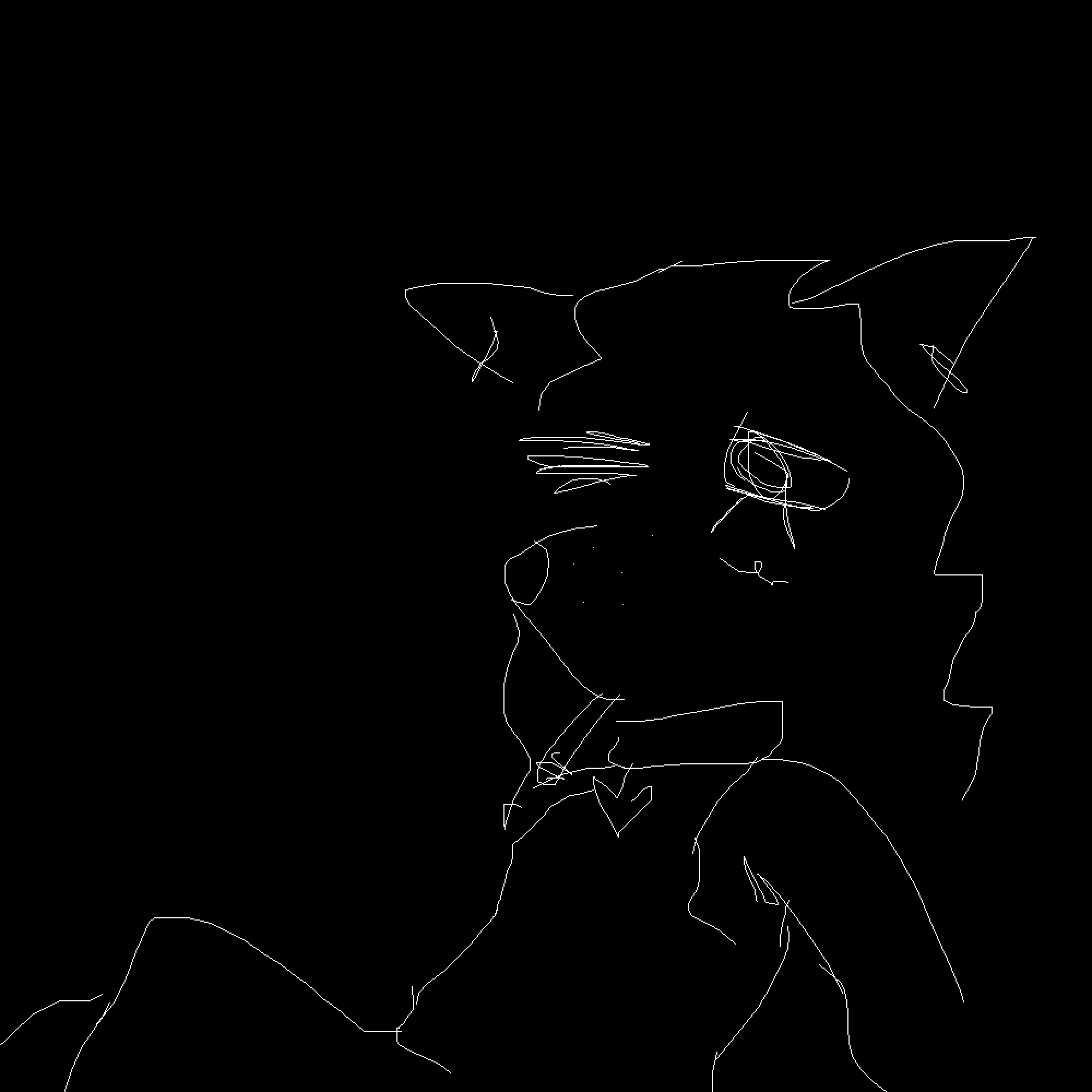 Cover image for barfbuppy