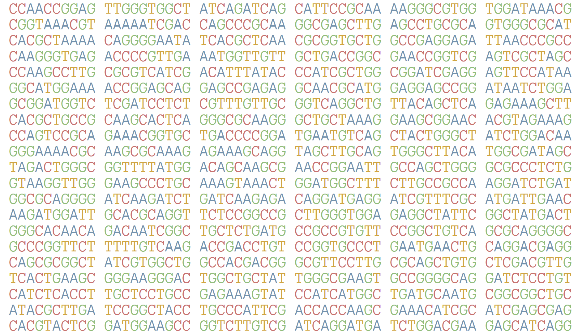 Cover image for antisense manifesto