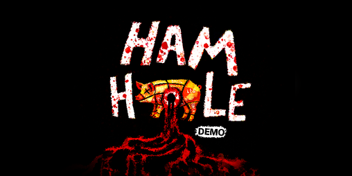Cover image for HAM HOLE