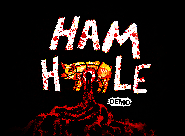 Cover image for HAM HOLE