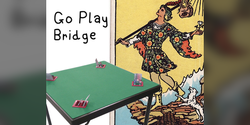 Cover image for Go play bridge