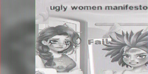 Cover image for ugly women manifesto