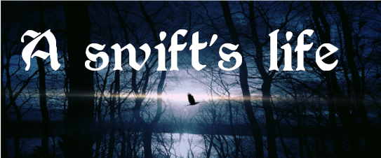 A Swift's Life