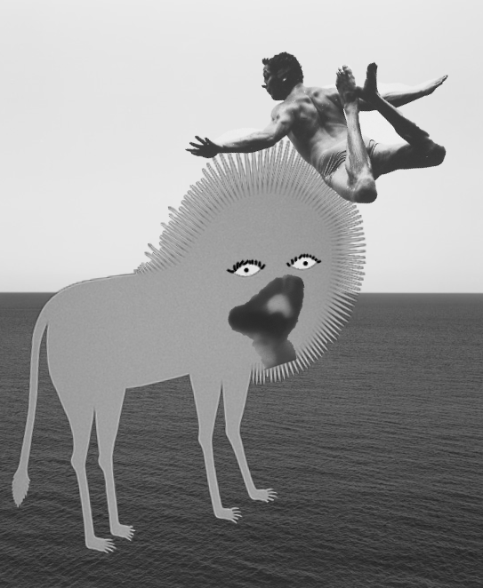 Cover image for the steal shit manifesto