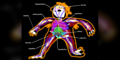 Cover image for Video Game in Relation to Body