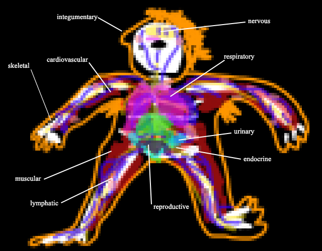 Cover image for Video Game in Relation to Body