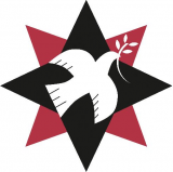 Cover image for Please let's not fight eachother constantly: A radical manifesto based on Quaker Principle