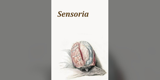 Cover image for Sensoria