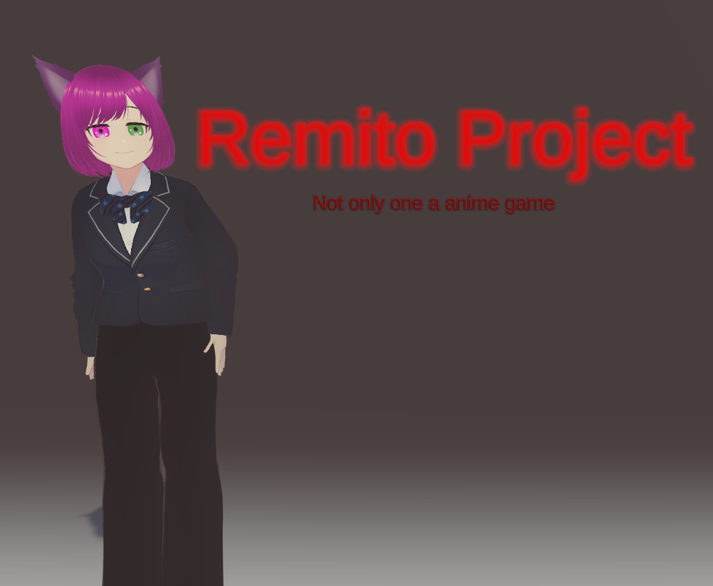 Remito Project cover