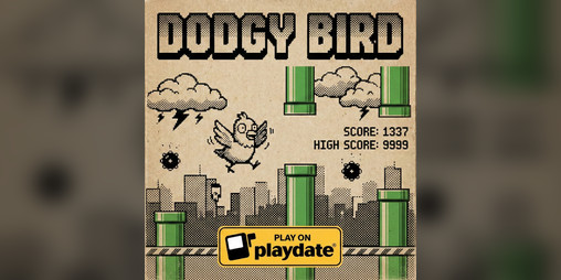 Cover image for Dodgy Bird