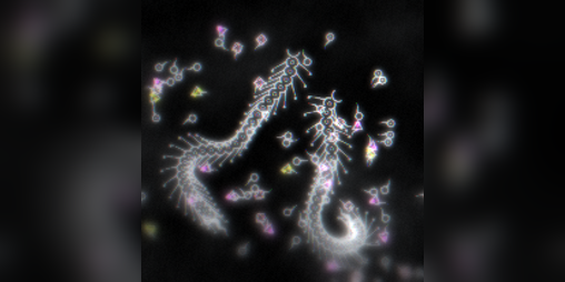 Cover image for Serpentine
