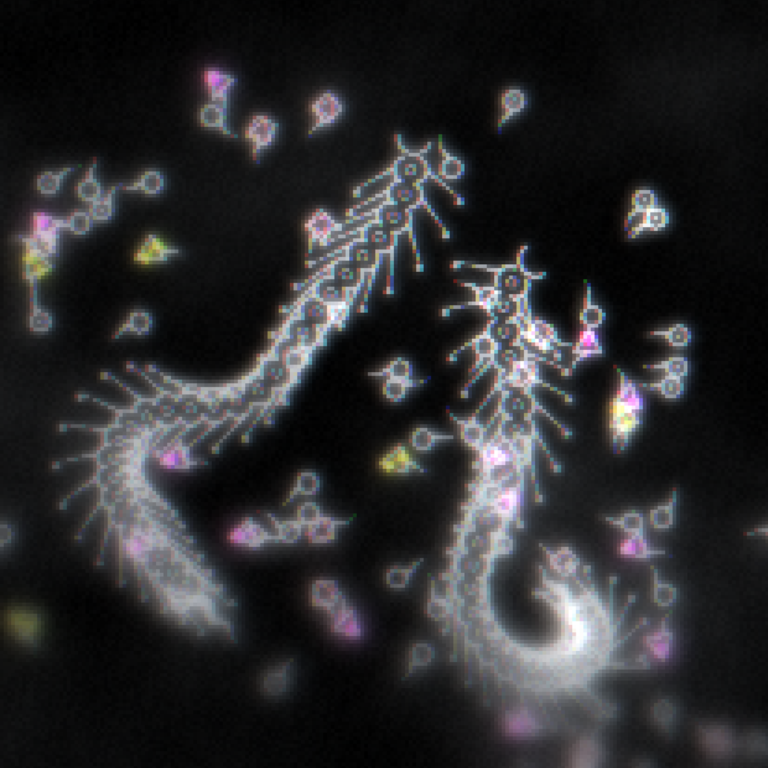 Cover image for Serpentine