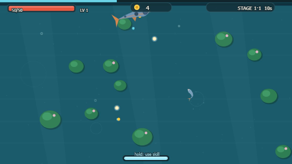 Koi Pond