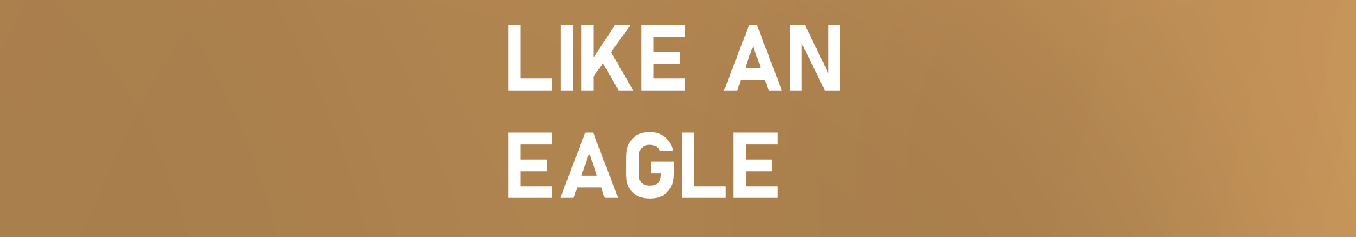 LIKE AN EAGLE