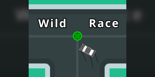 Cover image for Wild Race