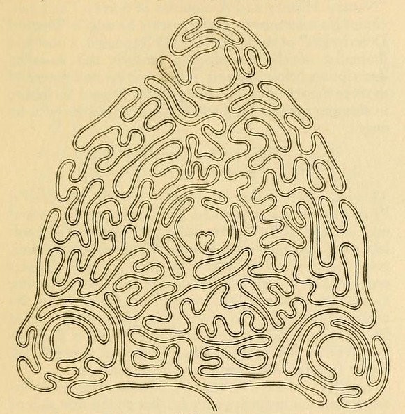 A Five-Room Structure