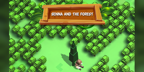 Cover image for Senna and the Forest