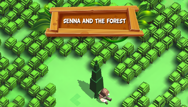 Cover image for Senna and the Forest