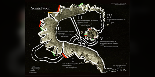 Cover image for Scintillation
