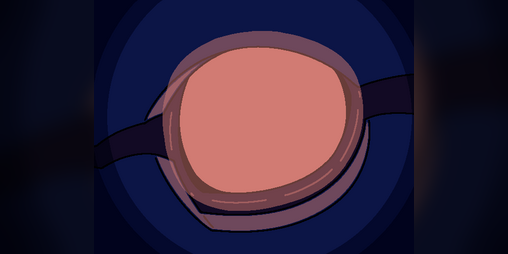 Cover image for MAGELLAN