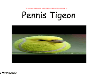 Pennis Tigeon [Free] [Adventure]