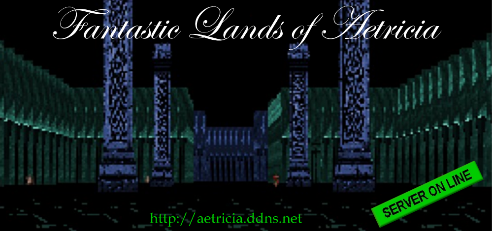 Cover image for Fantastic Lands of Aetricia