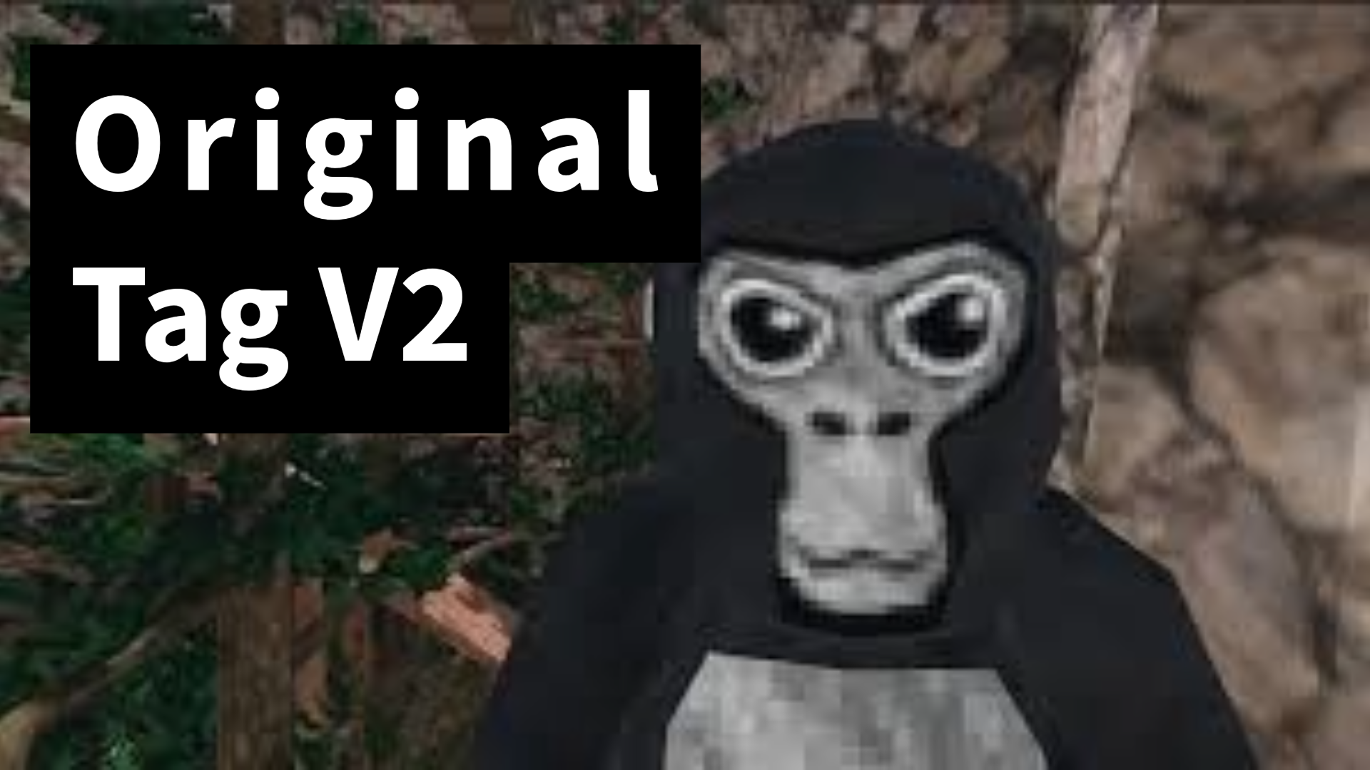 Original Tag V2