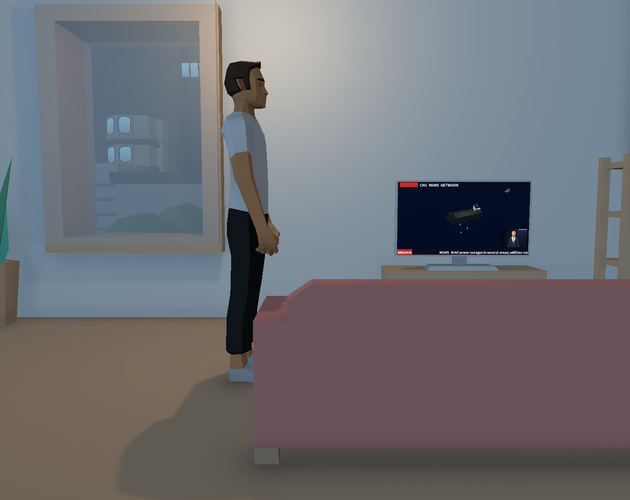 Cover image for VISITOR