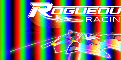 Cover image for RogueOut Racing