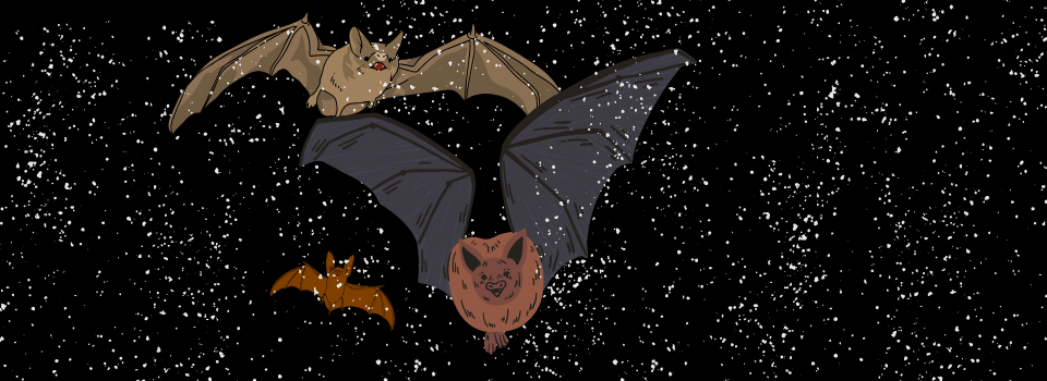 Vampire Year