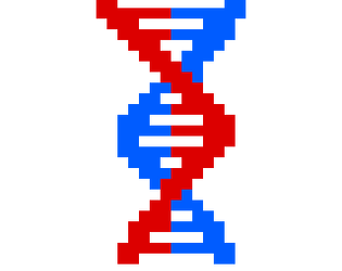 Evolarium