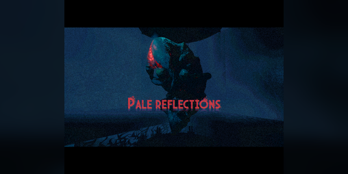 Cover image for Pale Reflections