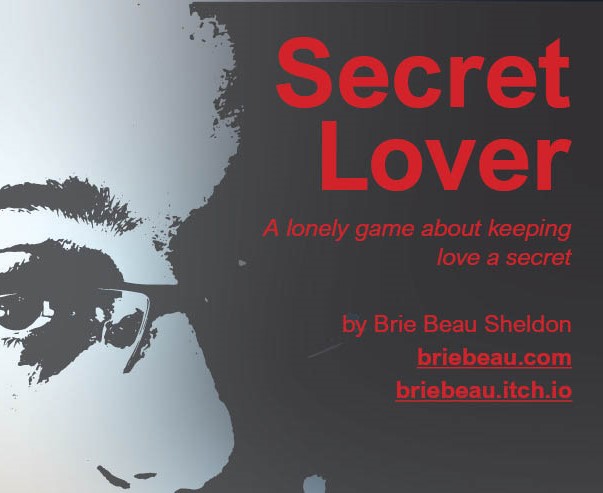 Cover image for Secret Lover