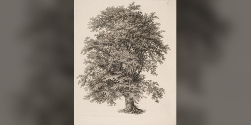 Cover image for Interactive dialogue sample