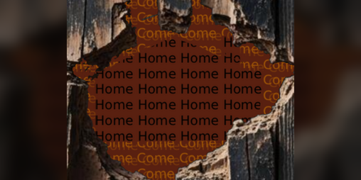 Cover image for Come Home