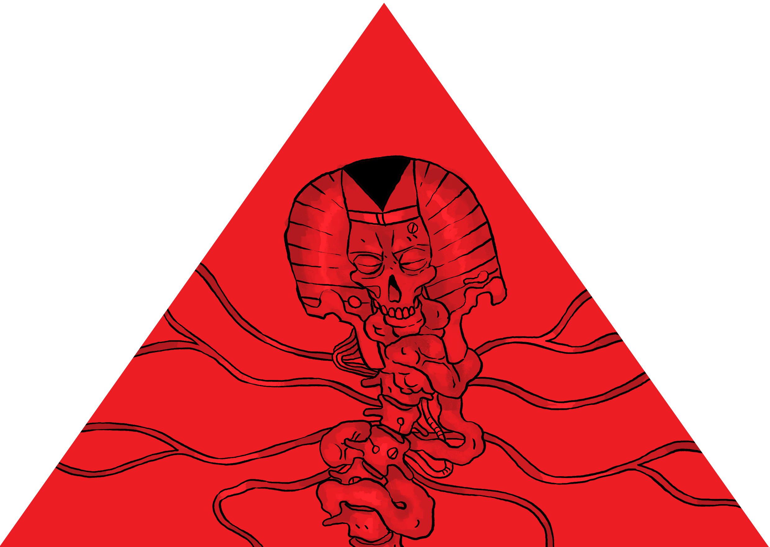Cover image for Afterbirth of the Shadow King