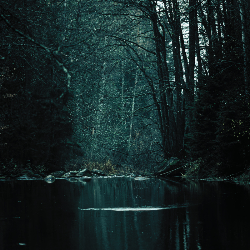 Cover image for Älvsbyn