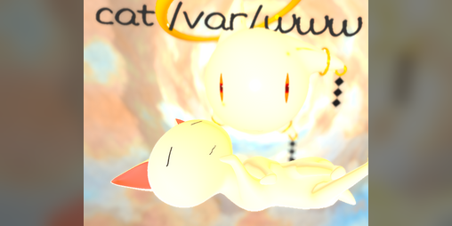 Cover image for cat /var/www (#0)