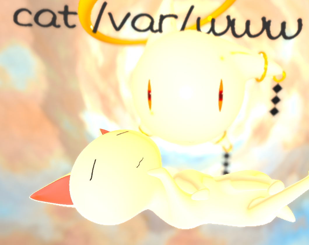 cat /var/www (#0) cover