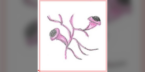 Cover image for Marchen Bestiary