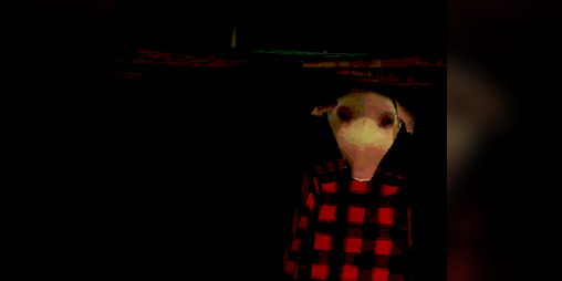 Cover image for Call from john Pork