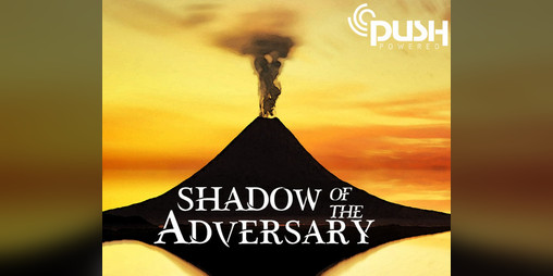 Cover image for Shadow of the Adversary